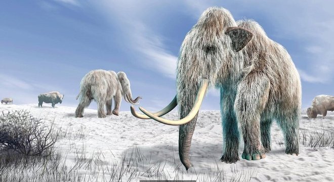 Seria possível clonar um mamute?