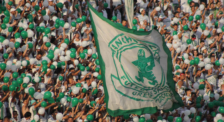 A Mancha Verde, torcida organizada do Palmeiras, esteve presente no jogo contra o Santos
