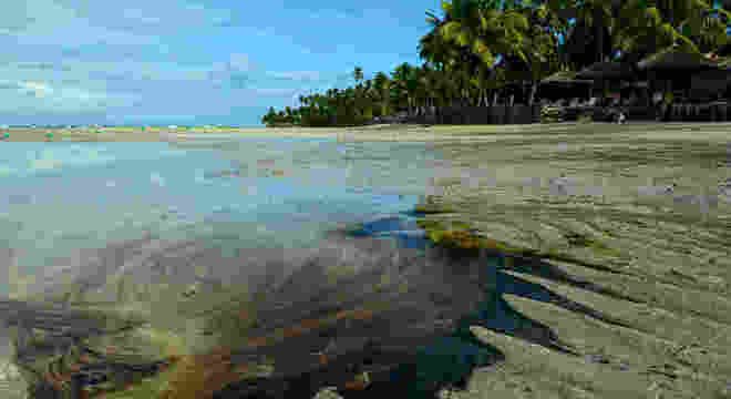 Resultado de imagem para Óleo atinge novas praias de Pernambuco