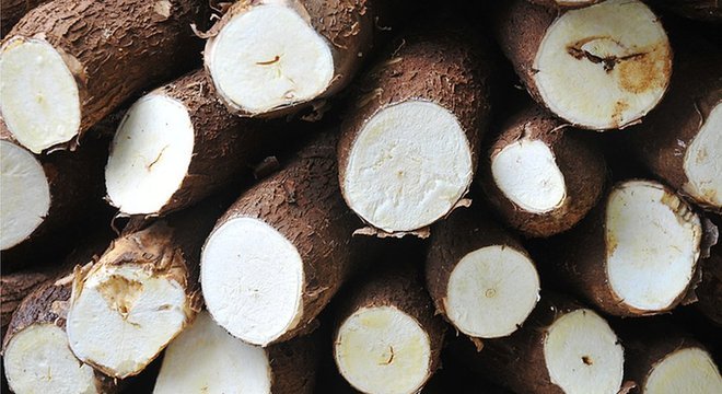 Mandioca pode ser altamente tóxica se preparada incorretamente