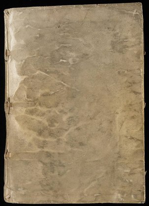 Manuscrito Voynich: Trata-se de um livro misterioso e enigmático que tem intrigado historiadores, criptógrafos e linguistas há mais de um século. São 240 páginas de um alfabeto desconhecido e cheio de desenhos enigmáticos de plantas, animais e símbolos astrológicos.