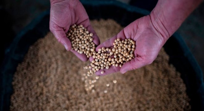 As exportações de produtos agrícolas dos EUA para a China, como a soja, caíram drasticamente devido à guerra comercial