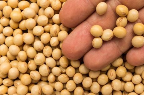 Alérgicos a soja devem se manter atento ao ingerir produtos processados, pois muitos contêm o ingrediente