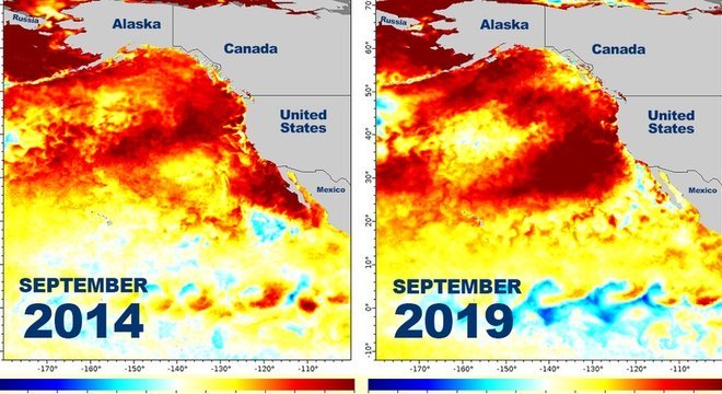 Este gráfico mostra como zonas de mar quente foram produzidas nos EUA em setembro de 2014 e no mesmo mês de 2019