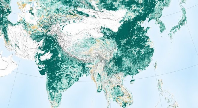 Aumento de área coberta por vegetação foi puxado pela Índia e China