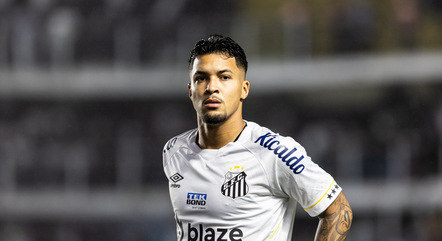 Marcos Leonardo vem sendo o destaque do Santos
