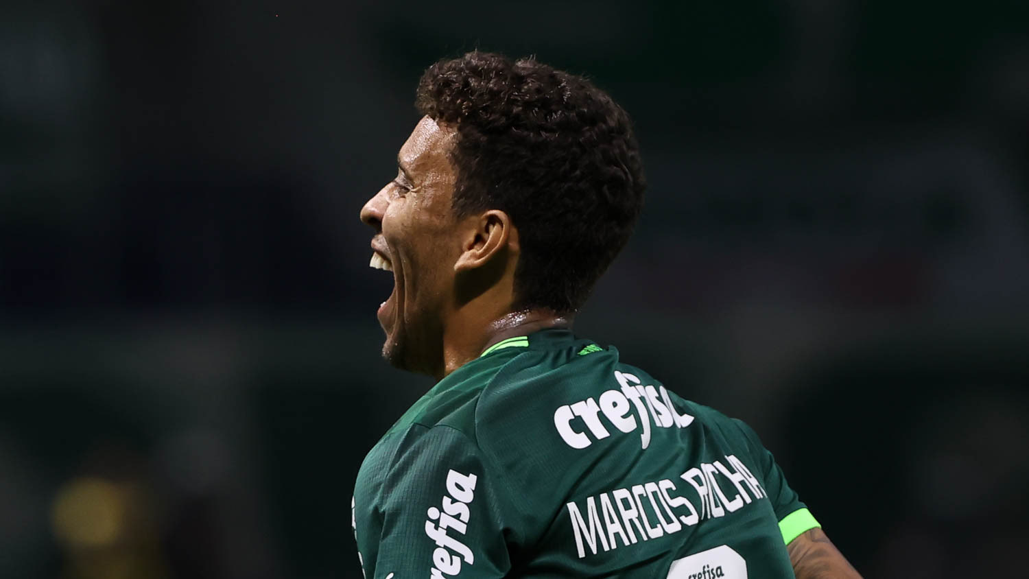 Portal R7.com on X: Fim de jogo! Palmeiras reverte a vantagem tricolor,  faz 4x0 e conquista o título do Campeonato Paulista ⚽️🏆  #FinalPaulistãoNaRecord  / X