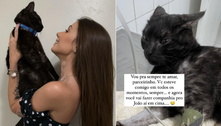Maria Lina lamenta morte de gato: 'Vai fazer companhia para o João'