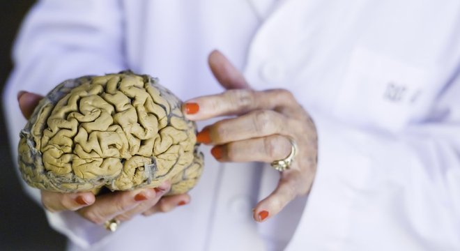 Diamond é considerada uma das fundadoras da neurociência moderna