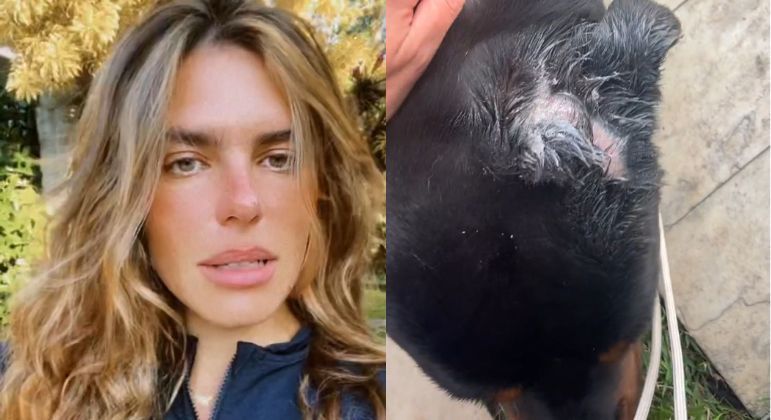 Mariana Goldfarb mostra cachorro ferido pelos cães do rapper Orochi