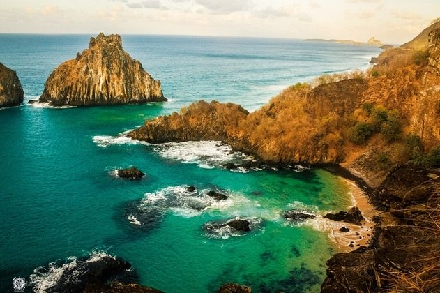 Eles interagem com os respectivos biomas, como a Amazônia, cerrado, caatinga, Pantanal, Pampas e Mata Atlântica, mostrando como essa relação tem influência também na vida humana, mesmo em cidades distantes (na foto, Marinho Costeiro em Fernando de Noronha)