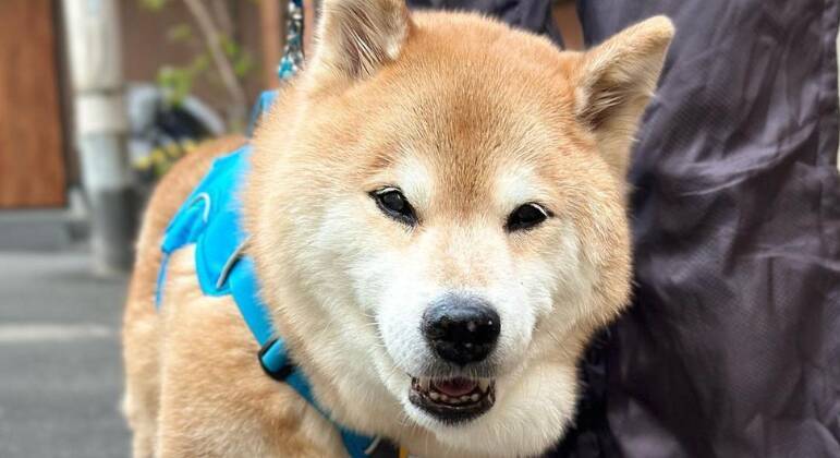 marutaro