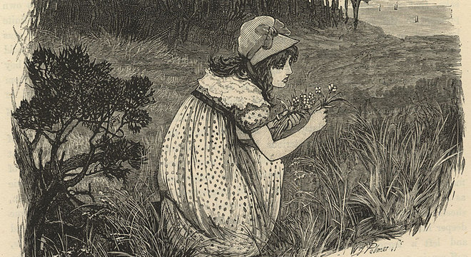  Mary cresceu na Escócia, onde teve muito contato com a natureza X e Y 