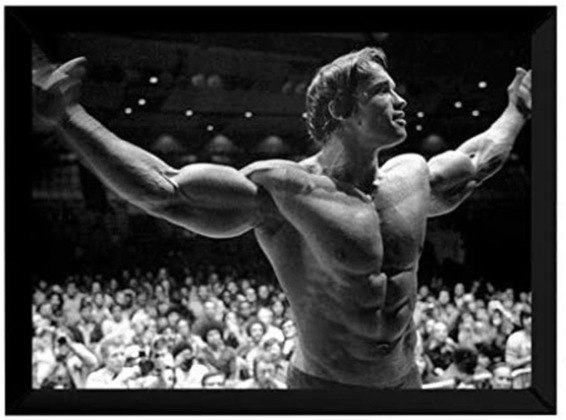 Mas nem mesmo o corpo bem trabalhado de Schwarzenegger foi suficiente para lhe garantir o papel do Incrível Hulk, que ele almejava. 