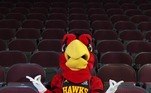 2º Harry the HawkTime: Atlanta HawksSalário anual: 600 mil dólares (R$ 3,1 milhões)