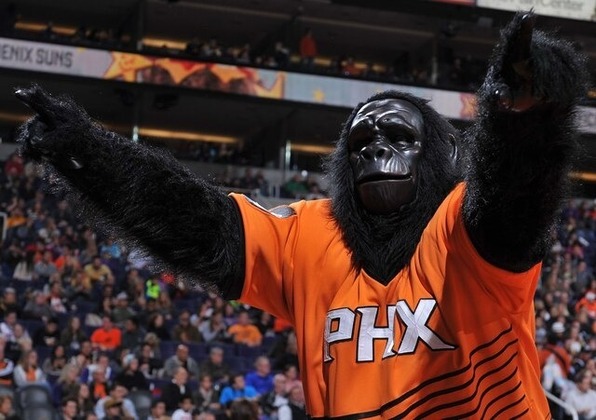 4º The Suns GorillaTime: Phoenix SunsSalário anual: 200 mil dólares (R$ 1,03 milhão)