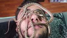 Massagem com cobras é a estranha tendência de saúde do momento 