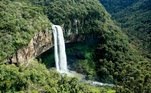 A WWF-Brasil está realizando uma série de exposições, em várias estações de metrô em São Paulo, que expõem as belezas da fauna e da flora brasileira. O objetivo é alertar sobre a importância da preocupação com o meio ambiente. As mostras contam com a parceria das concessionárias das linhas 4,5 e 17 do metrô paulistano (na foto, a Cascata Caracol, na Mata Atlântica)