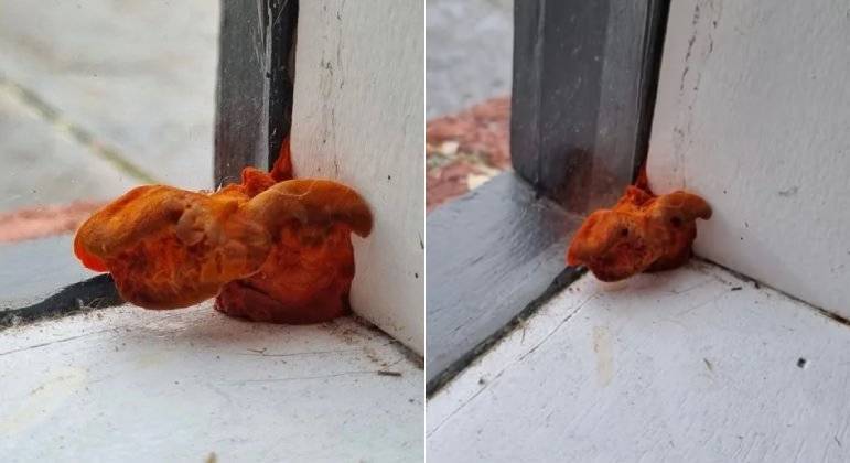 Especialistas acreditam que matéria laranja em janela seja um fungo