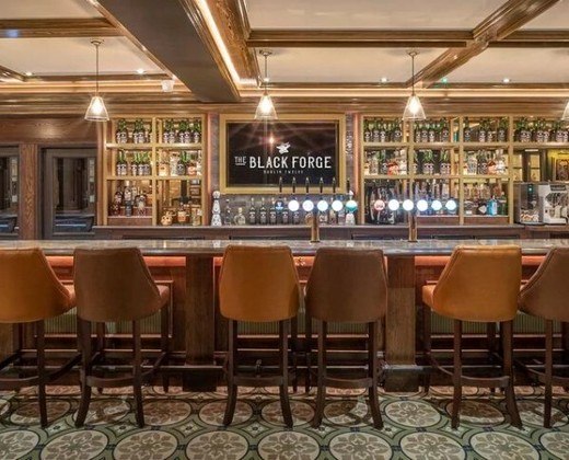 Ainda no ramo do empreendedorismo, Conor abriu um bar em Dublin, capital da Irlanda, chamado Black Forge Inn, que ele classificou como o 