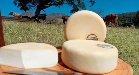 Melhor queijo do mundo é produzido na Serra da Canastra