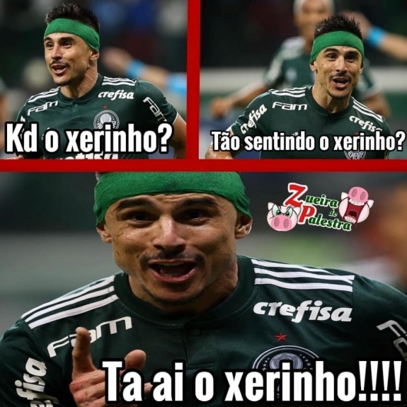 zoeira com palmeiras