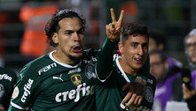 Palmeiras ganha 10 clássicos em um mesmo ano pela primeira vez