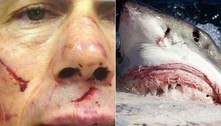 Mergulhador revela como é ser engolido por um tubarão-branco: 'É assim que é morrer' 