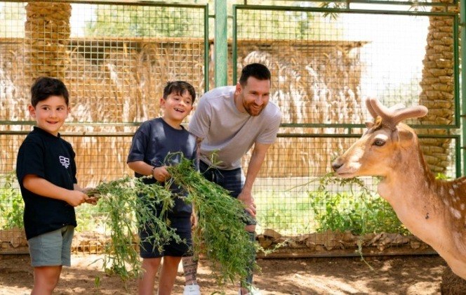 Um dos destaques do primeiro dia foi alimentar as gazelas árabes indígenas que estavam perto da extinção, mas agora fazem parte de um ambicioso programa de preservação e reflorestamento no país. Mateo e Ciro pareceram gostar muito do passeio