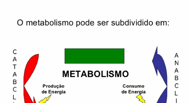 Metabolismo, o que é? Definição, características, funções e tipos principais