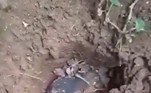 Em um vídeo que mostra o momento da descoberta, é possível ver o meteorito de 2,1 kg enterrado a cerca de 15 cm do solo