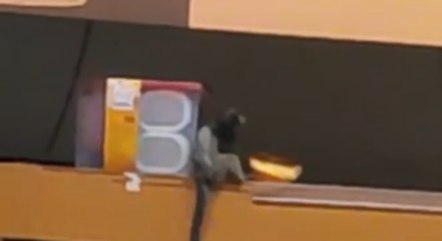 Mico aparece no alto de uma das prateleiras do supermercado 
