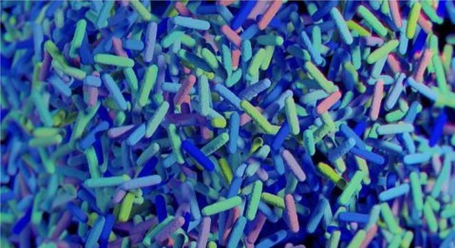 Embora a poluição do ar possa não ser a única causa da síndrome do intestino irritável (SII), é um dos fatores desencadeantes