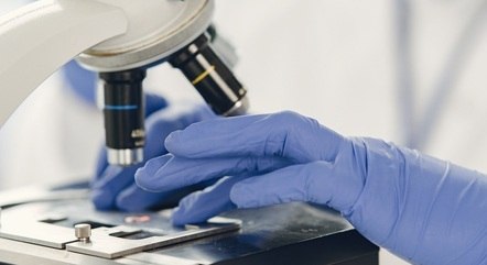 Agência estuda desenvolvimento de tratamento com células CAR-T