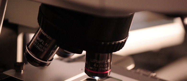 Para especialistas, poucas matrículas femininas em cursos de exatas é um fenômeno mundial (Pixabay)