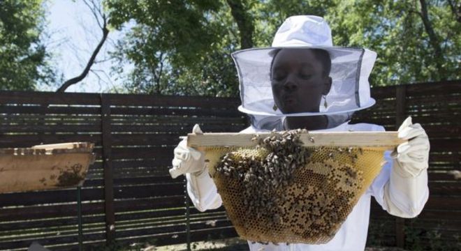 Mikaila passou de ter medo de abelhas a doar 10% dos lucros da sua empresa para a preservação delas