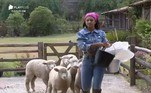 Mileide Mihaile é uma das peoas que mais utilizam bandana — e não perde o estilo nem na hora de cuidar das ovelhas. Amarrar o lenço na cabeça, de modo que cubra o topo, é apenas um dos muitos jeitos de usar a peça
