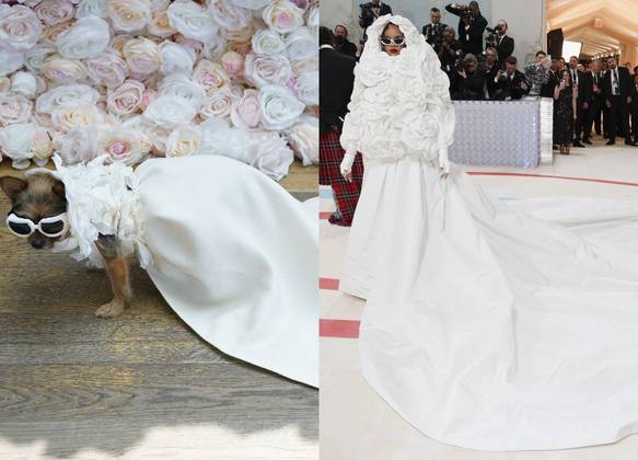 Miley-Jo, uma shorkie, vestida como Rihanna