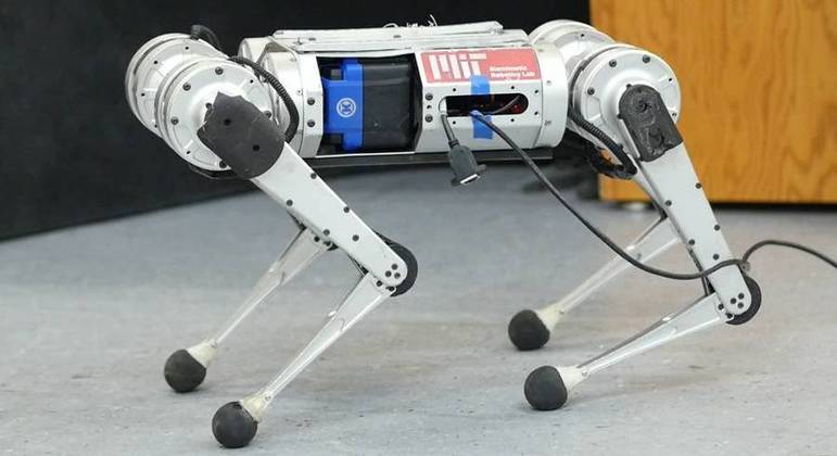 O robô mais realista do mundo – Andre Bello