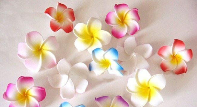 Mini fores de EVA com bordas coloridas