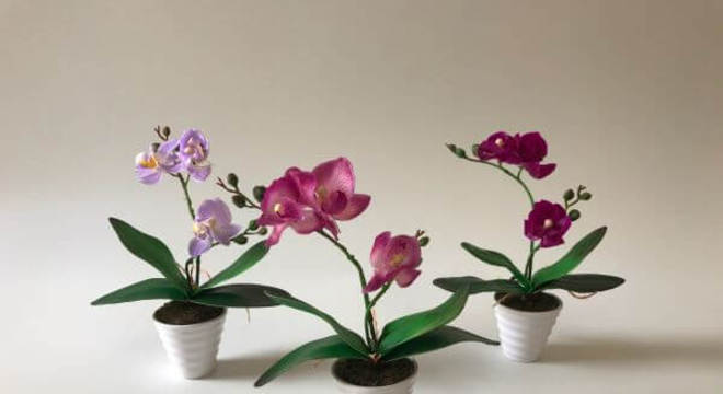 Mini orquídea