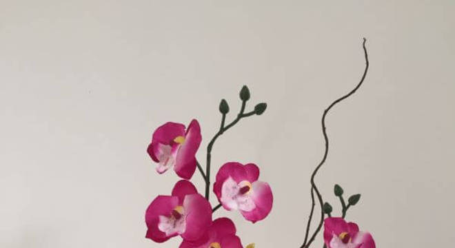 Mini orquídea rosa