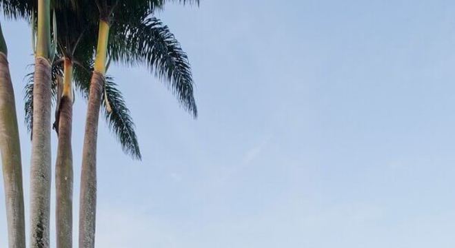 modelo de casa em l com jardim e piscina