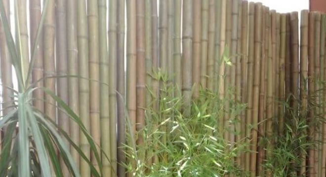 Modelo de cerca de bambu fixada atrás dos vasos de concreto