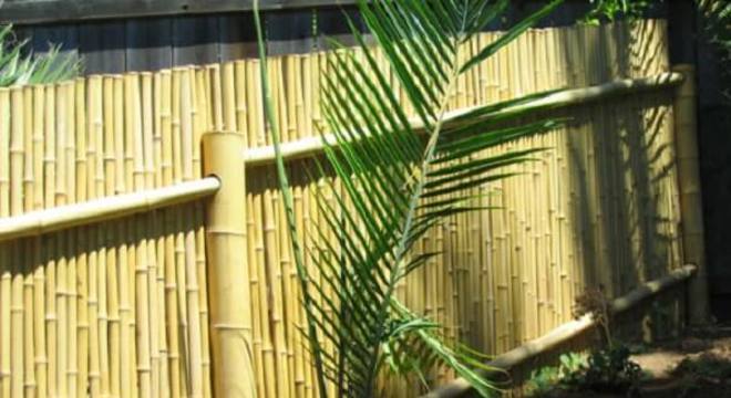 Modelo de cerca de bambu fixada no jardim