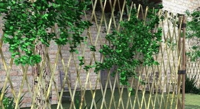 Modelo de cerca de bambu trançada