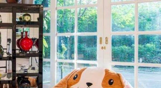 Modelo de puff gigante para dormir em formato de cachorro