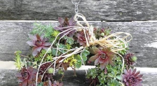 Modelos de guirlandas de natal diferentes feita com suculentas