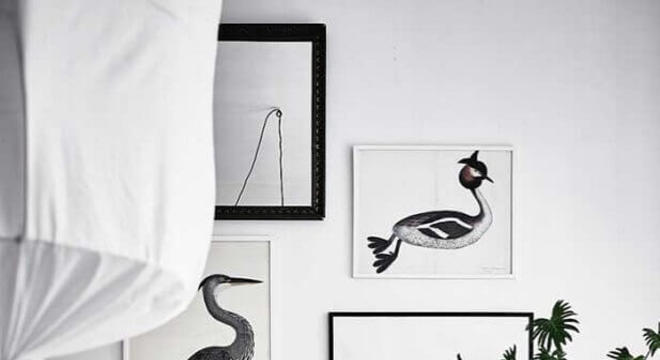 modelos de quadro branco e preto 