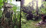 Em 2013, os dois foram descobertos por moradores locais, vivendo em uma casa na árvore. Desde então, foram lentamente conhecendo a civilização, e moram em um vilarejo, mas ainda próximos da selva que chamam de lar